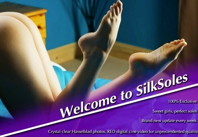 SilkSoles.com/c4s.com – SITERIP